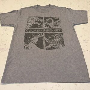 Game of Thrones T-Shirt w/Graphic of the Four Houses, gray, Adult Size Small